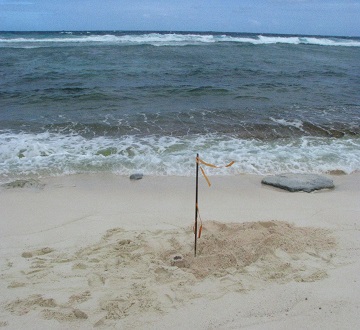 Surveying Jinapsan Beach